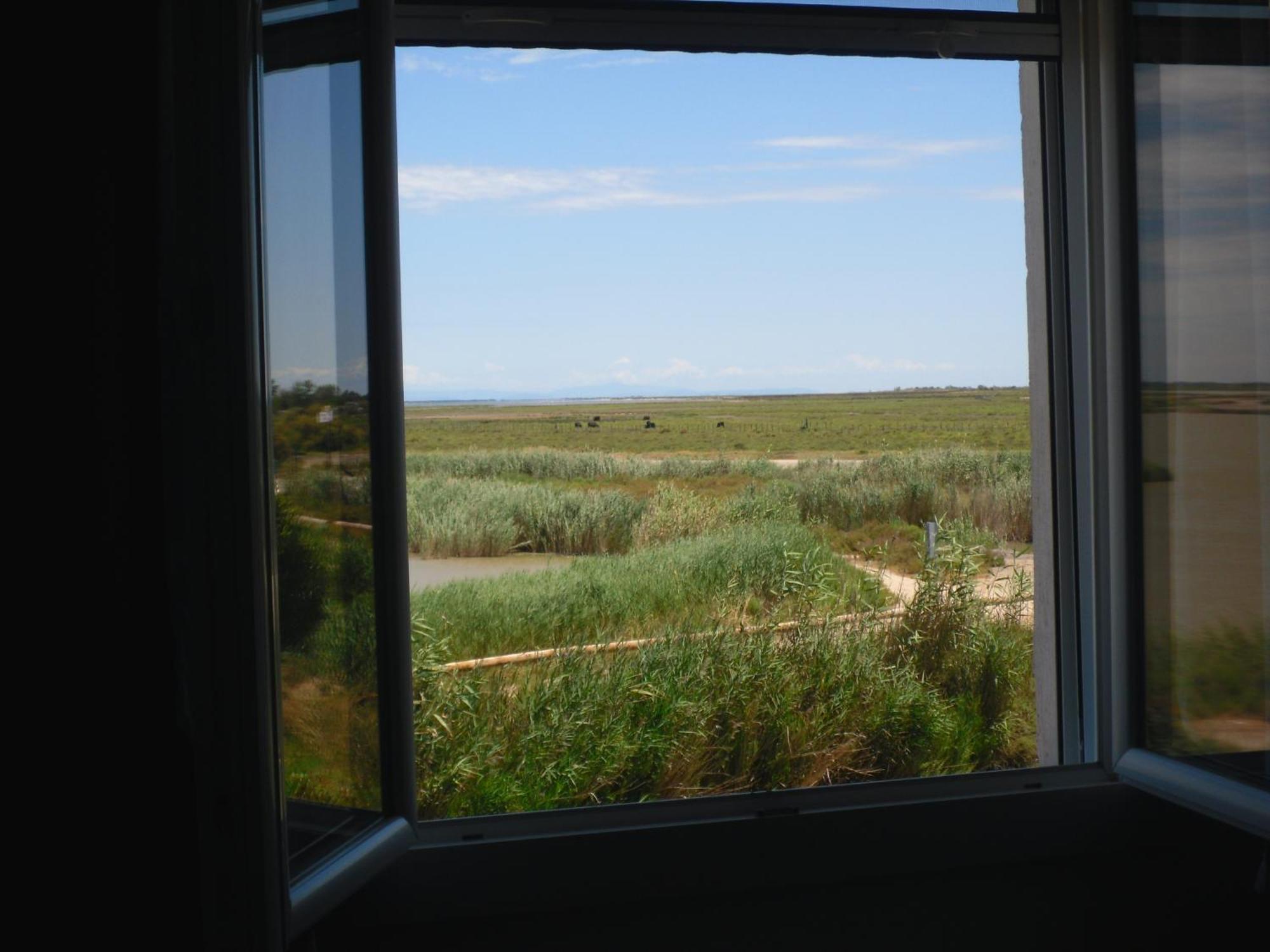 Chambre Les Flamants, Avec Vue Imprenable Sur Les Etangs, Les Oiseaux, La Nature, Petit Dejeuner Compris Сент-Марі-де-ла-Мер Екстер'єр фото